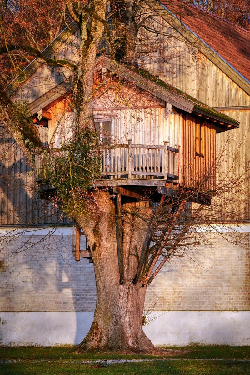 Elf Treehouses