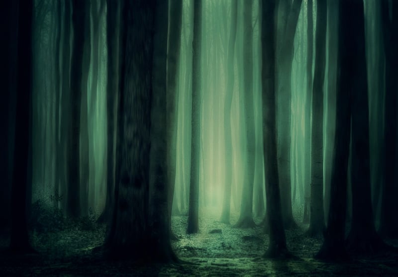 Mystical Flora