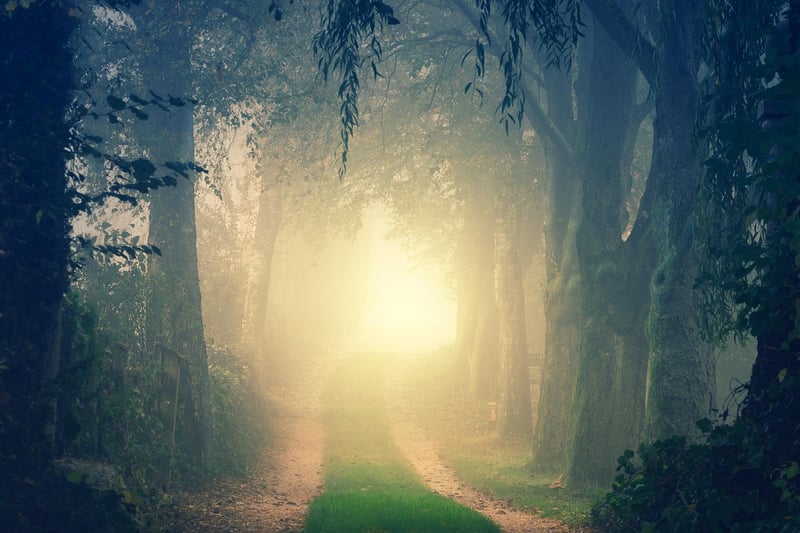 Secret Passages
