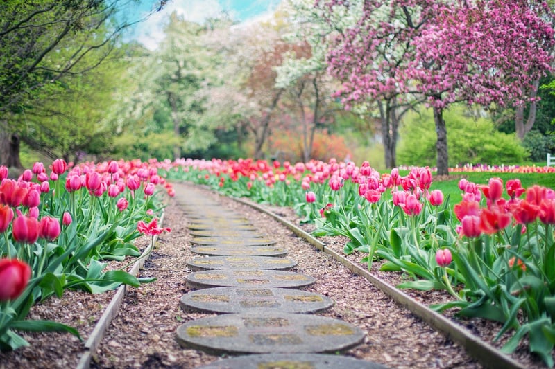 Enchanted Pathway