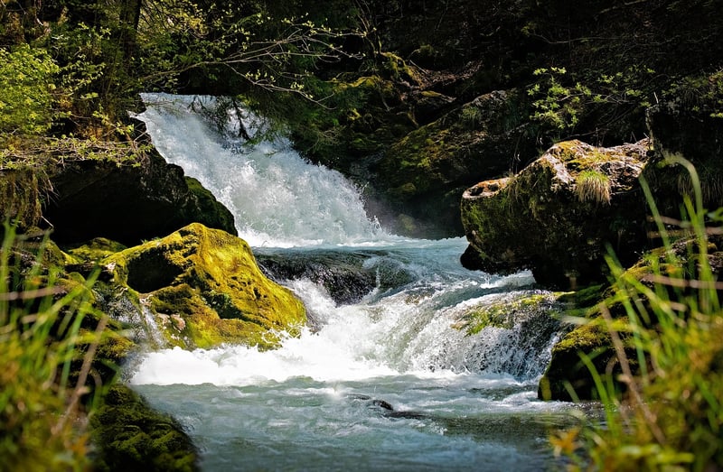 Nymph Stream