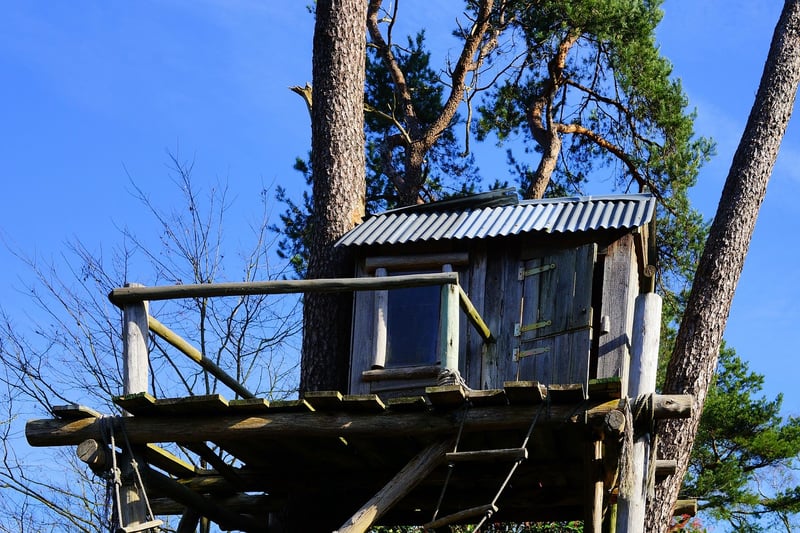 Elf Treehouse 1